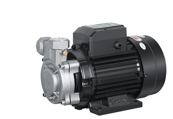 Boiler Feedwater Pump